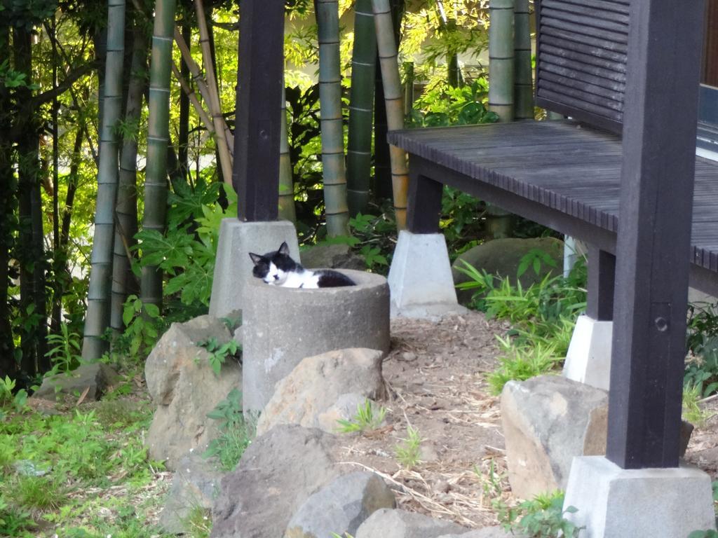 Ryokan Izuna Atami  Esterno foto