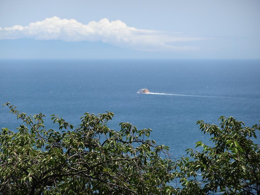 Ryokan Izuna Atami  Esterno foto